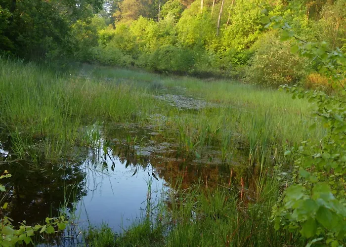 Appartement Werts Hof 2