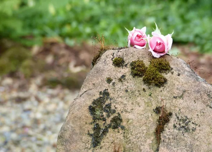 Werts Hof 2 Appartement *